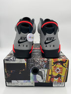 Jordan 6 Retro Reflections of a Champion