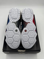 Nike LeBron 12 What the LeBron