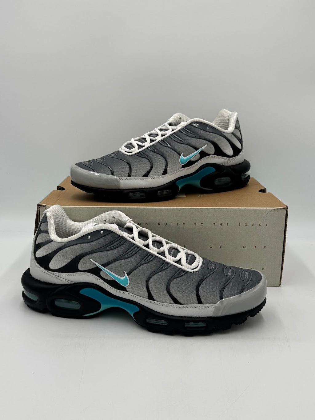 Nike Air Max Plus One Block Down Matte Silver
