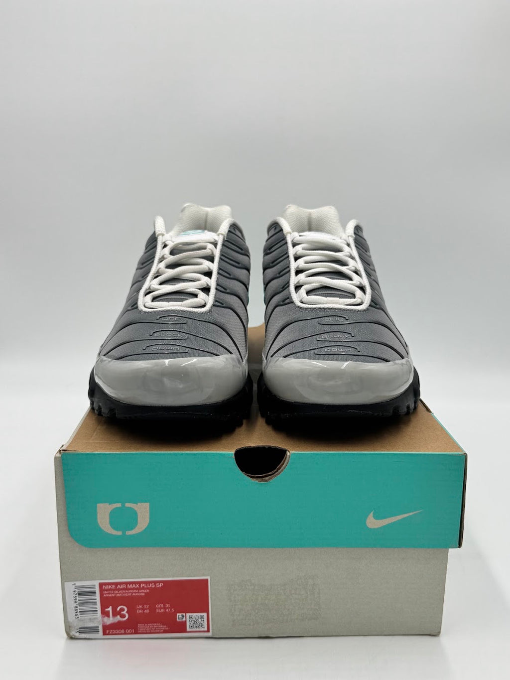 Nike Air Max Plus One Block Down Matte Silver