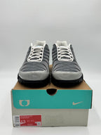 Nike Air Max Plus One Block Down Matte Silver