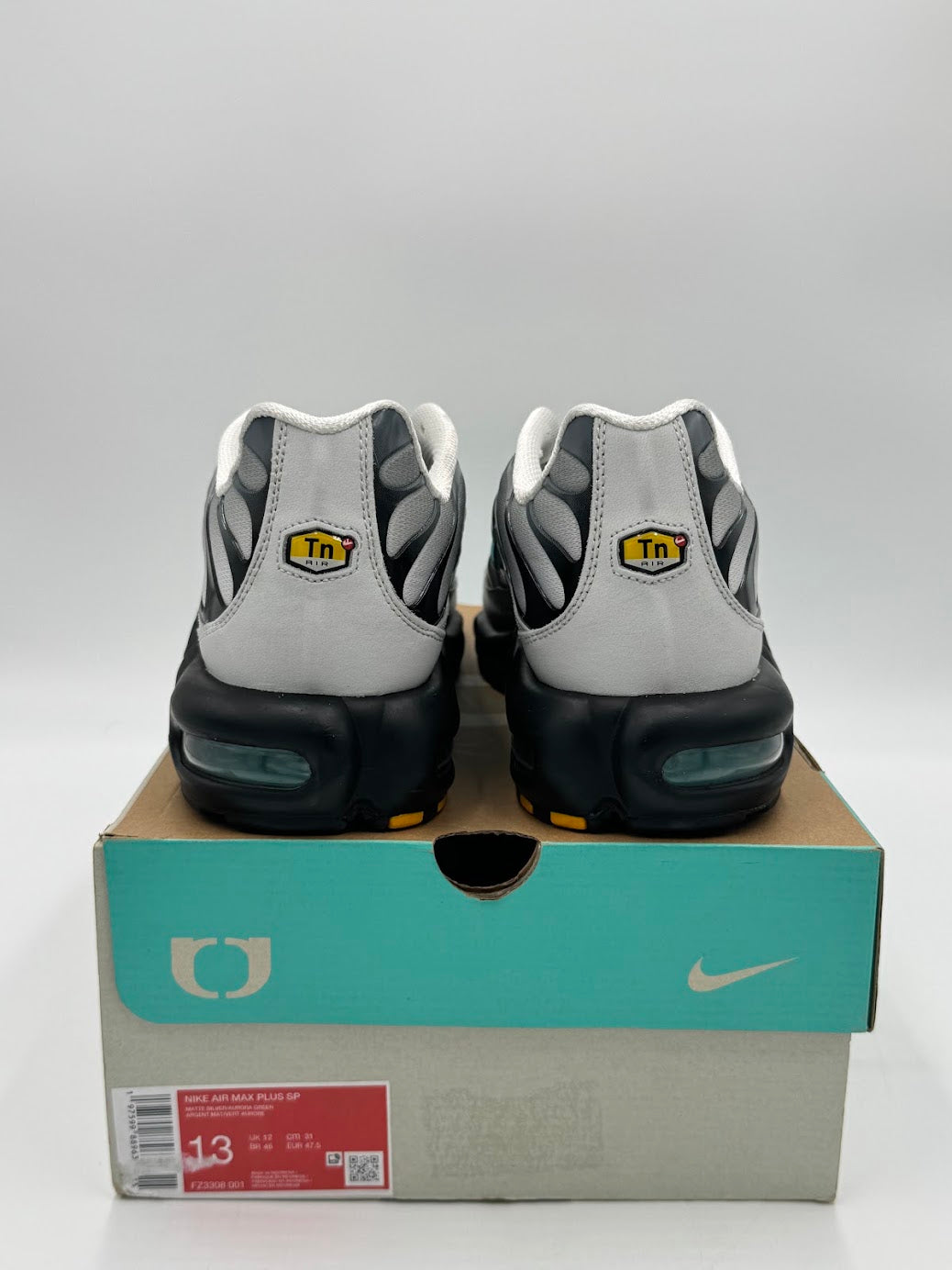 Nike Air Max Plus One Block Down Matte Silver