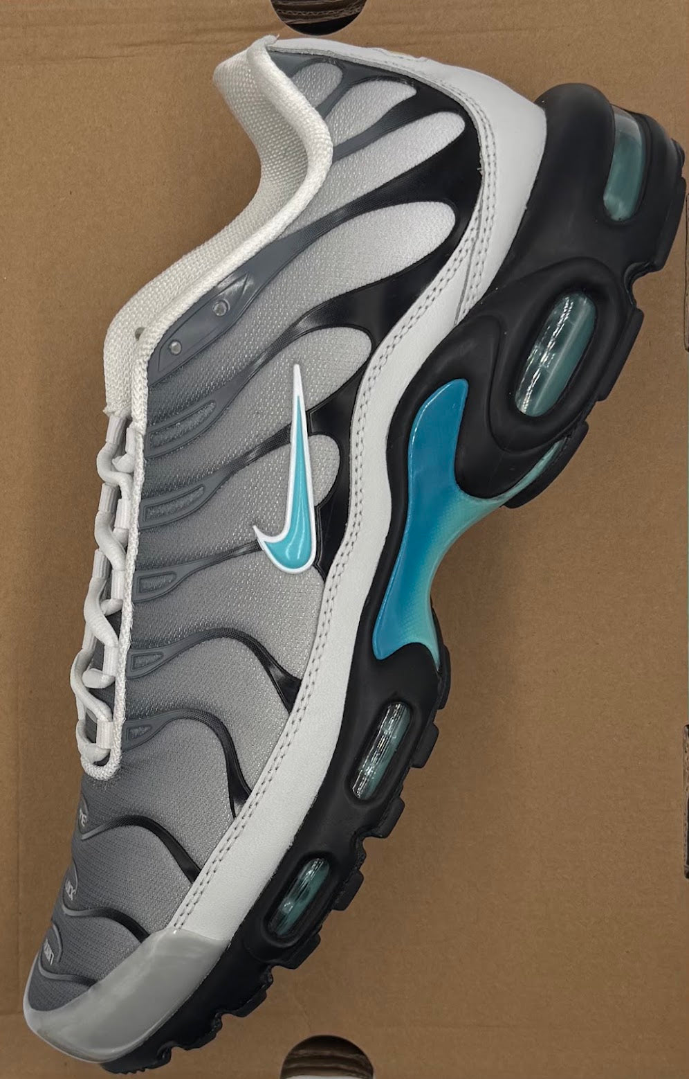 Nike Air Max Plus One Block Down Matte Silver