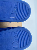 Dior B23 High Top Blue Dior Oblique Canvas