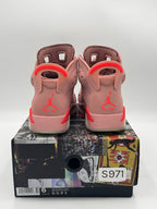 Jordan 6 Retro Aleali May (2019)