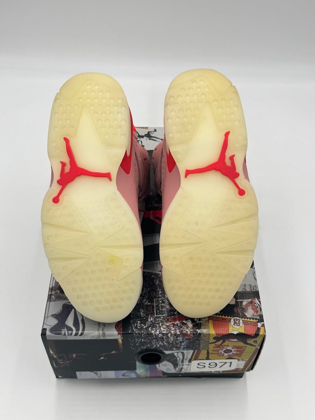 Jordan 6 Retro Aleali May (2019)