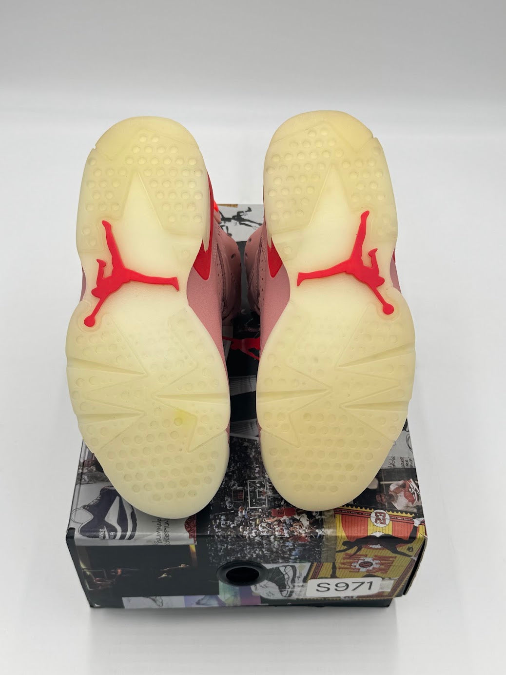 Jordan 6 Retro Aleali May (2019)