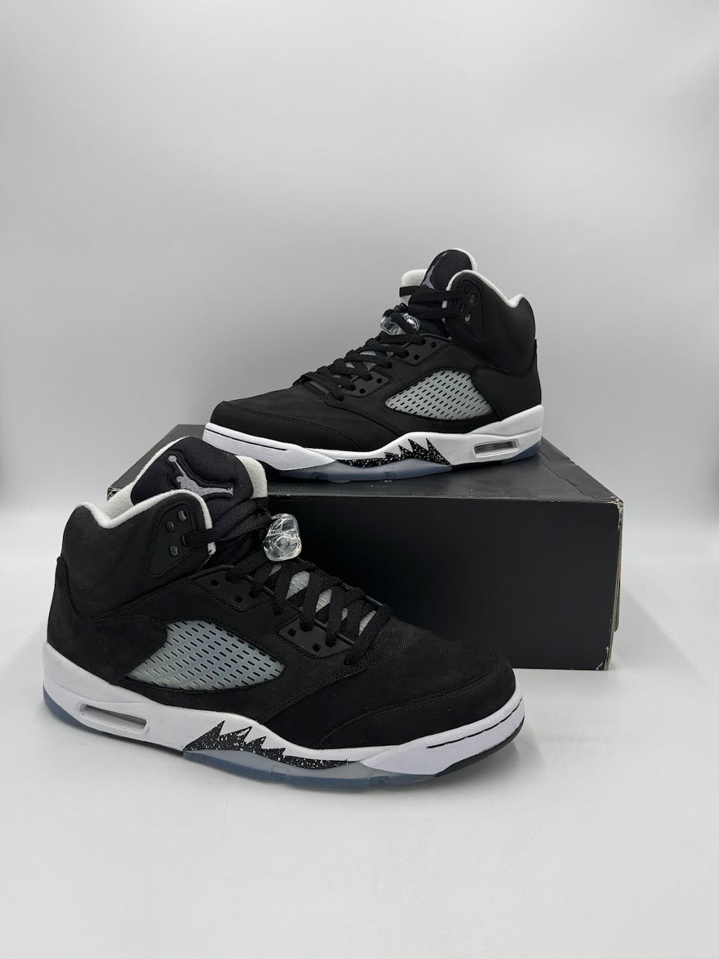 Jordan 5 Retro Moonlight (2021)