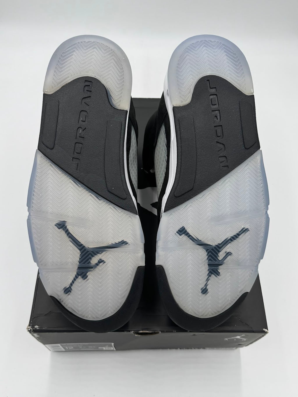 Jordan 5 Retro Moonlight (2021)