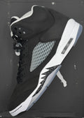 Jordan 5 Retro Moonlight (2021)