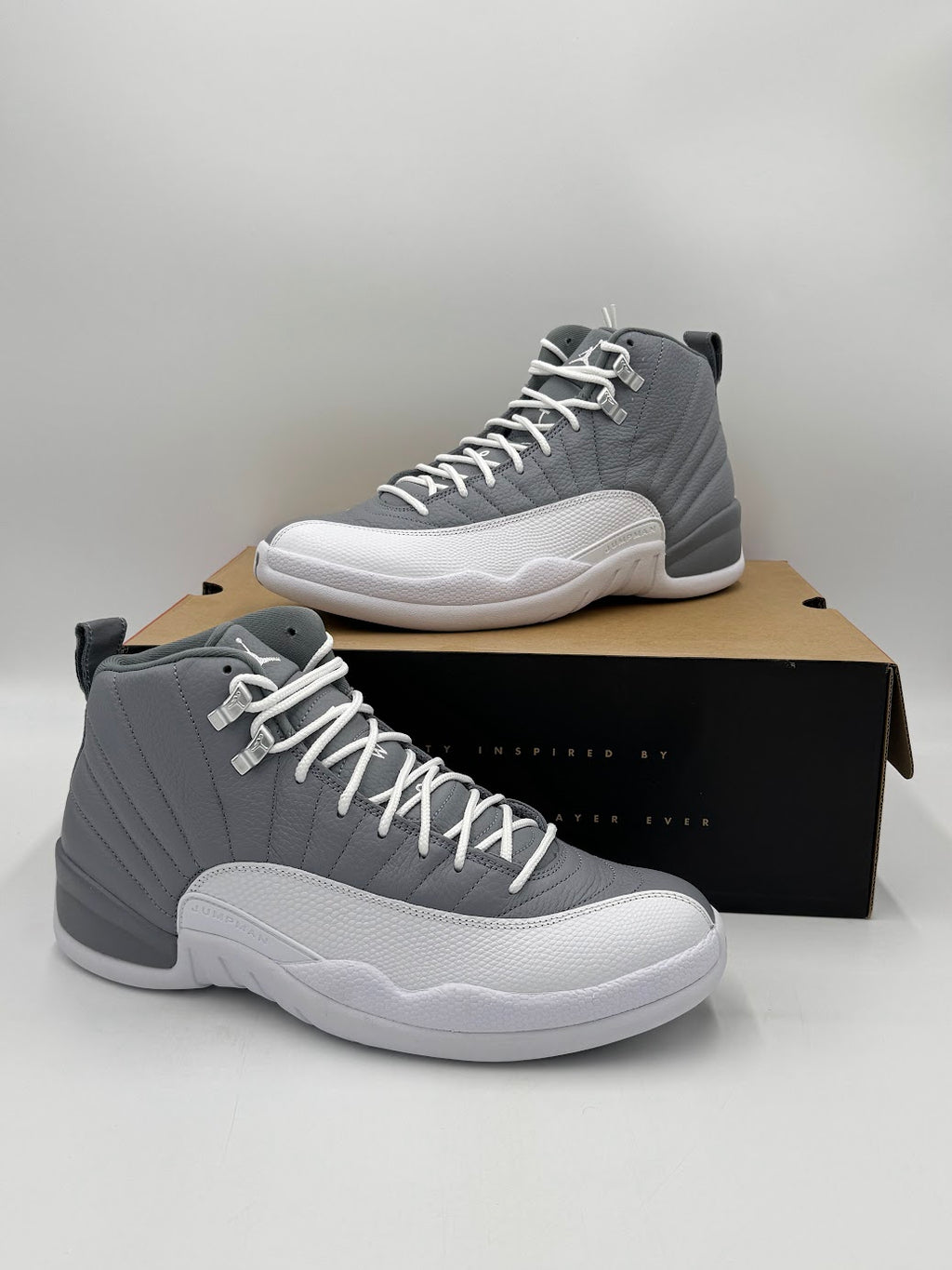 Jordan 12 Retro Stealth