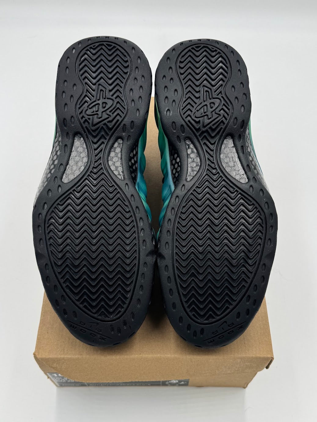 Nike Air Foamposite One Northern Lights